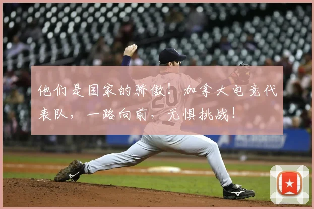 他们是国家的骄傲！加拿大电竞代表队，一路向前，无惧挑战！